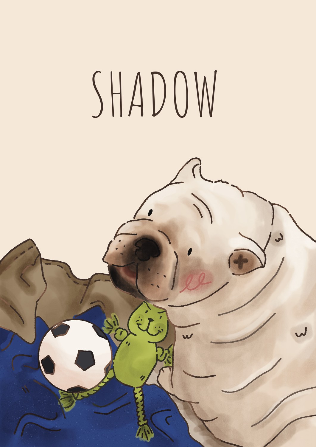 Shadow